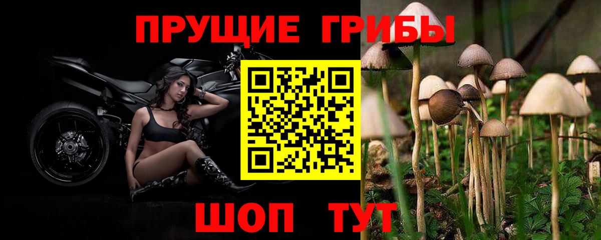 Оренбург  Псилоцибиновые грибы мицелий  Вход с VPN 